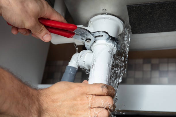 Best Water damage restoration mold remediation  in Dallesport, WA