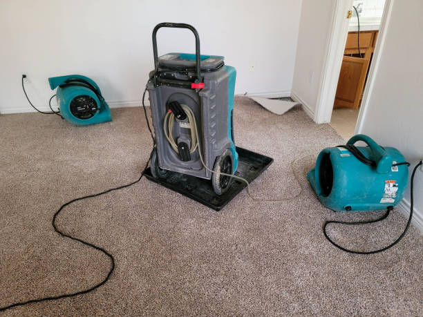 Best Water damage restoration insurance claims  in Dallesport, WA