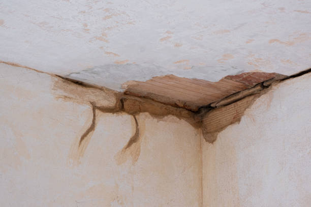 Water damage restoration mold remediation in Dallesport, WA