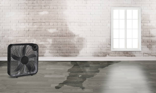 Trusted Dallesport, WA Water damage restoration Experts