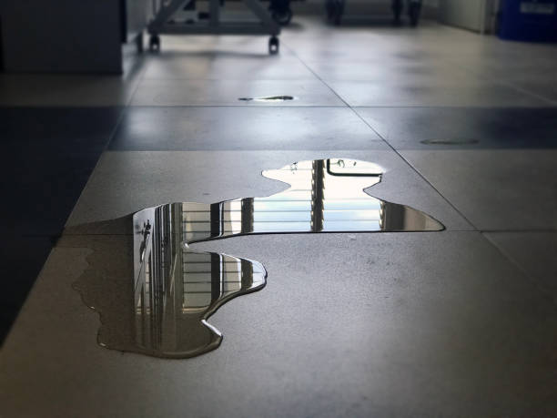 Best Water damage contractors near me  in Dallesport, WA
