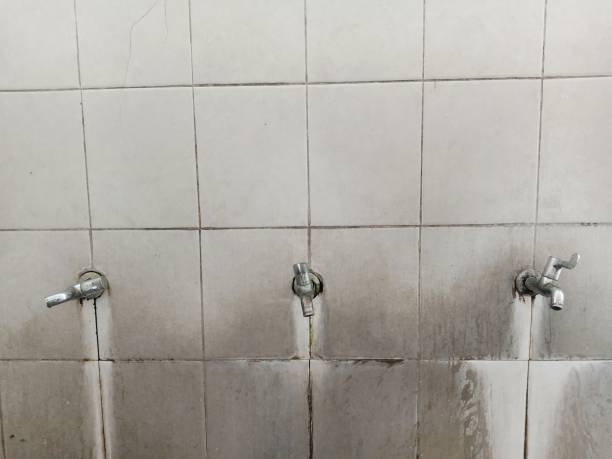 Best Residential water damage restoration  in Dallesport, WA