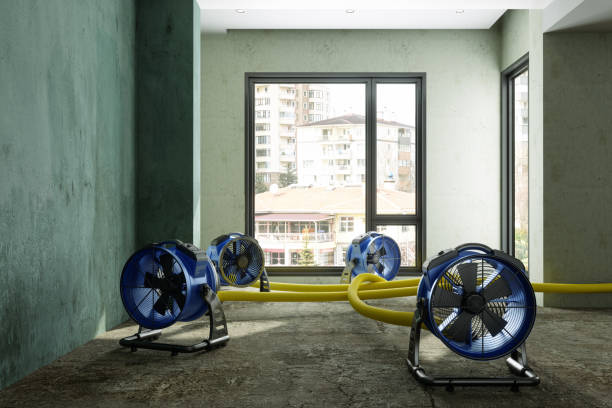 Best Flood restoration services  in Dallesport, WA